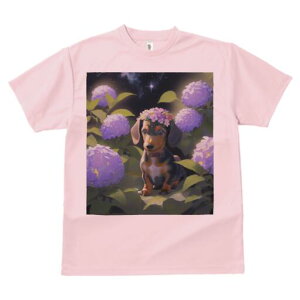 _bNXth TVc  j[NfUCfB[X t@  t vg lJWA 킢 lԗp Mtg I ҏ΍ AWTC _bNXth  