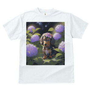 _bNXth TVc  j[NfUCfB[X t@  t vg lJWA 킢 lԗp Mtg I ҏ΍ AWTC _bNXth  