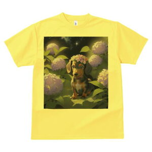 _bNXth TVc  j[NfUCY LbY t@  t vg lJWA 킢 lԗp Mtg I ҏ΍ AWTC _bNXth  