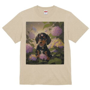 _bNXth TVc  j[NfUCY LbY t@  t vg lJWA 킢 lԗp Mtg I ҏ΍ AWTC _bNXth  