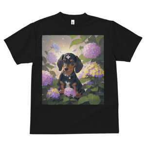 _bNXth TVc  j[NfUCfB[X t@  t vg lJWA 킢 lԗp Mtg I ҏ΍ AWTC _bNXth  