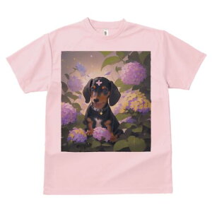 _bNXth TVc  j[NfUCY LbY t@  t vg lJWA 킢 lԗp Mtg I ҏ΍ AWTC _bNXth  