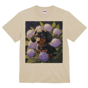 _bNXth TVc  j[NfUCY LbY t@  t vg lJWA 킢 lԗp Mtg I ҏ΍ AWTC _bNXth  