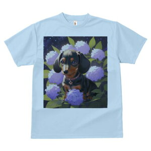 _bNXth TVc  j[NfUCfB[X t@  t vg lJWA 킢 lԗp Mtg I ҏ΍ AWTC _bNXth  