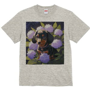 _bNXth TVc  j[NfUCfB[X t@  t vg lJWA 킢 lԗp Mtg I ҏ΍ AWTC _bNXth  