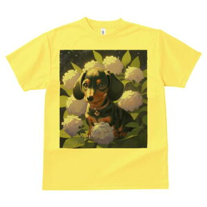 _bNXth TVc  j[NfUCfB[X t@  t vg lJWA 킢 lԗp Mtg I ҏ΍ AWTC _bNXth  