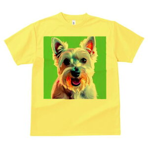 EGXgnChzCgeA TVc  j[NfUCfB[X t@  t vg lJWA 킢 lԗp Mtg I ҏ΍ EGXgnChz