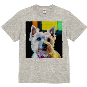 EGXgnChzCgeA TVc  j[NfUCfB[X t@  t vg lJWA 킢 lԗp Mtg I ҏ΍ EGXgnChz