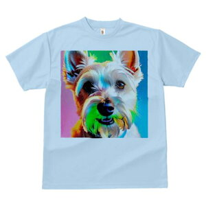 EGXgnChzCgeA TVc  j[NfUCfB[X t@  t vg lJWA 킢 lԗp Mtg I ҏ΍ Jt EGXgnC