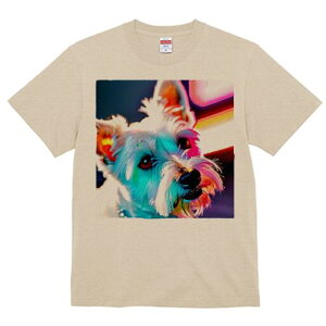 EGXgnChzCgeA TVc  j[NfUCfB[X t@  t vg lJWA 킢 lԗp Mtg I ҏ΍ EGXgnChz