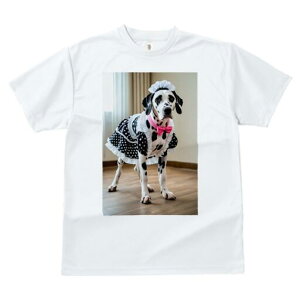 _VA TVc  j[NfUCfB[X t@  t vg lJWA 킢 lԗp Mtg I ҏ΍ Ch _VA {