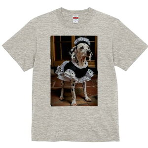 _VA TVc  j[NfUCfB[X t@  t vg lJWA 킢 lԗp Mtg I ҏ΍ Ch _VA t