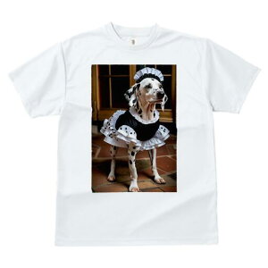 _VA TVc  j[NfUCfB[X t@  t vg lJWA 킢 lԗp Mtg I ҏ΍ Ch _VA t