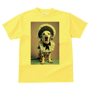 _VA TVc  j[NfUCfB[X t@  t vg lJWA 킢 lԗp Mtg I ҏ΍ Ch _VA Xq {