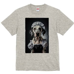 _VA TVc  j[NfUCfB[X t@  t vg lJWA 킢 lԗp Mtg I ҏ΍ Ch _VA Xq