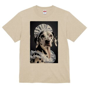 _VA TVc  j[NfUCfB[X t@  t vg lJWA 킢 lԗp Mtg I ҏ΍ Ch _VA Xq