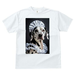 _VA TVc  j[NfUCfB[X t@  t vg lJWA 킢 lԗp Mtg I ҏ΍ Ch _VA Xq