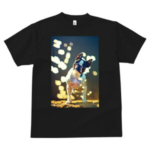 {XgeA TVc  j[NfUCfB[X t@  t vg lJWA 킢 lԗp Mtg I ҏ΍ wi {XgeA  