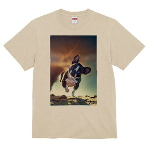 {XgeA TVc  j[NfUCfB[X t@  t vg lJWA 킢 lԗp Mtg I ҏ΍  {XgeA  z