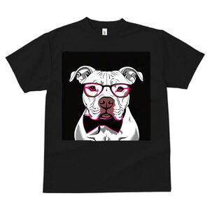 AJsbgueA TVc  j[NfUCfB[X t@  t vg lJWA 킢 lԗp Mtg I ҏ΍ Kl AJsbgu