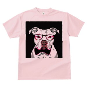 AJsbgueA TVc  j[NfUCfB[X t@  t vg lJWA 킢 lԗp Mtg I ҏ΍ Kl AJsbgu