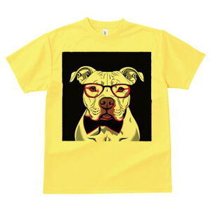 AJsbgueA TVc  j[NfUCfB[X t@  t vg lJWA 킢 lԗp Mtg I ҏ΍ Kl AJsbgu