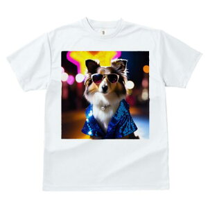 VFbghV[vhbO TVc  j[NfUCfB[X t@  t vg lJWA 킢 lԗp Mtg I ҏ΍ TOX VFbghV