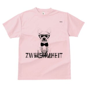 EGXgnChzCgeA TVc  j[NfUCfB[X t@  t vg lJWA 킢 lԗp Mtg I ҏ΍ Kl EGXgnC