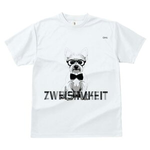 EGXgnChzCgeA TVc  j[NfUCfB[X t@  t vg lJWA 킢 lԗp Mtg I ҏ΍ Kl EGXgnC