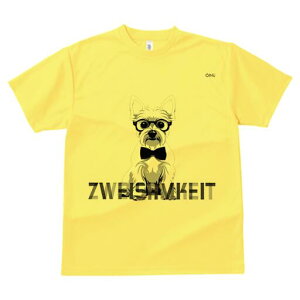 EGXgnChzCgeA TVc  j[NfUCfB[X t@  t vg lJWA 킢 lԗp Mtg I ҏ΍ Kl EGXgnC