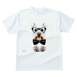 EGXgnChzCgeA TVc  j[NfUCfB[X t@  t vg lJWA 킢 lԗp Mtg I ҏ΍ Kl EGXgnC