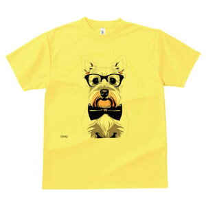 EGXgnChzCgeA TVc  j[NfUCfB[X t@  t vg lJWA 킢 lԗp Mtg I ҏ΍ Kl EGXgnC