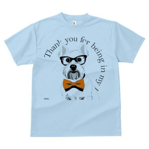 EGXgnChzCgeA TVc  j[NfUCfB[X t@  t vg lJWA 킢 lԗp Mtg I ҏ΍ Kl EGXgnC