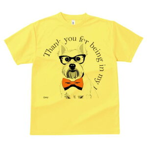 EGXgnChzCgeA TVc  j[NfUCY LbY t@  t vg lJWA 킢 lԗp Mtg I ҏ΍ Kl EGXgn