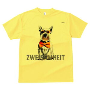 EGXgnChzCgeA TVc  j[NfUCfB[X t@  t vg lJWA 킢 lԗp Mtg I ҏ΍ lN^C EGXgn