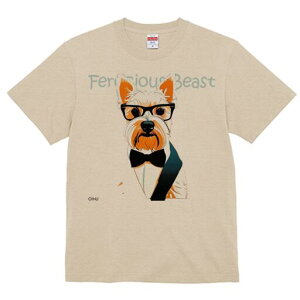 EGXgnChzCgeA TVc  j[NfUCfB[X t@  t vg lJWA 킢 lԗp Mtg I ҏ΍ lN^C EGXgn