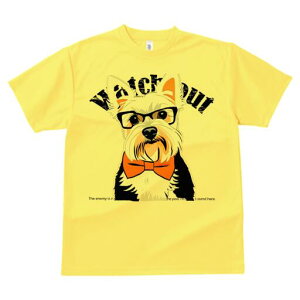 [NV[eA TVc  j[NfUCfB[X t@  t vg lJWA 킢 lԗp Mtg I ҏ΍ Kl [NV[eA lN^