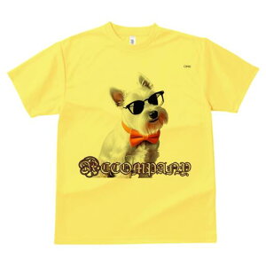 EGXgnChzCgeA TVc  j[NfUCfB[X t@  t vg lJWA 킢 lԗp Mtg I ҏ΍ TOX EGXgn