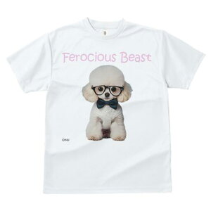 gCv[h TVc  j[NfUCY LbY t@  t vg lJWA 킢 lԗp Mtg I ҏ΍ Kl gCv[h lN^C