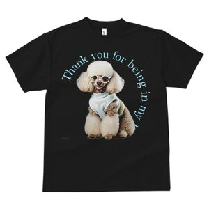 v[h TVc  j[NfUCfB[X t@  t vg lJWA 킢 lԗp Mtg I ҏ΍ Kl v[h Z[^[