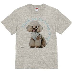 v[h TVc  j[NfUCfB[X t@  t vg lJWA 킢 lԗp Mtg I ҏ΍ Kl v[h Z[^[