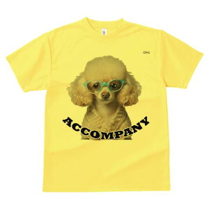 gCv[h TVc  j[NfUCfB[X t@  t vg lJWA 킢 lԗp Mtg I ҏ΍ Kl gCv[h J[fBK