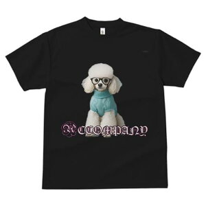 v[h TVc  j[NfUCfB[X t@  t vg lJWA 킢 lԗp Mtg I ҏ΍ Z[^[ v[h Kl