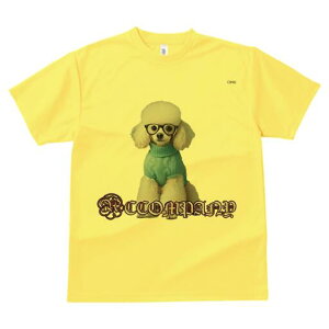 v[h TVc  j[NfUCfB[X t@  t vg lJWA 킢 lԗp Mtg I ҏ΍ Z[^[ v[h Kl