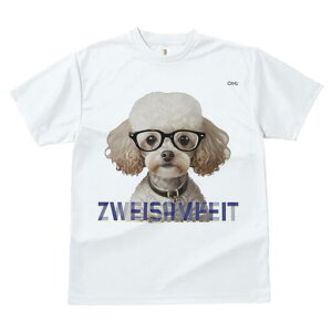 gCv[h TVc  j[NfUCfB[X t@  t vg lJWA 킢 lԗp Mtg I ҏ΍ Kl gCv[h 킢