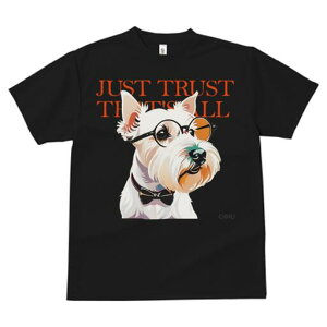 EGXgnChzCgeA TVc  j[NfUCfB[X t@  t vg lJWA 킢 lԗp Mtg I ҏ΍ Kl EGXgnC