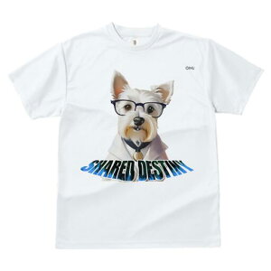 ウエストハイランドホワイトテリア Tシャツ 犬愛 ユニークデザインレディース 犬ファン 半袖 春夏 プリント 大人カジュアル かわいい 人間用 ギフト 個性的 猛暑対策 メガネ ウエストハイラ
