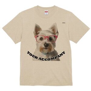 EGXgnChzCgeA TVc  j[NfUCfB[X t@  t vg lJWA 킢 lԗp Mtg I ҏ΍ Kl EGXgnC