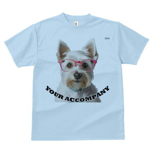 EGXgnChzCgeA TVc  j[NfUCfB[X t@  t vg lJWA 킢 lԗp Mtg I ҏ΍ Kl EGXgnC