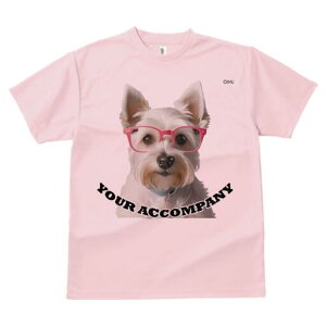 EGXgnChzCgeA TVc  j[NfUCfB[X t@  t vg lJWA 킢 lԗp Mtg I ҏ΍ Kl EGXgnC